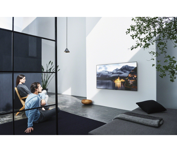 Sony KD65XE9005 - 1403287 - zdjęcie 10